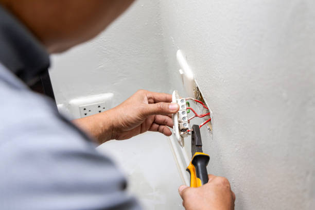 Best 24-Hour Electrician  in Los Fresnos, TX